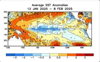 Średnia temperatura powierzchni wody od 12.01.2025 do 8.02.2025 r.