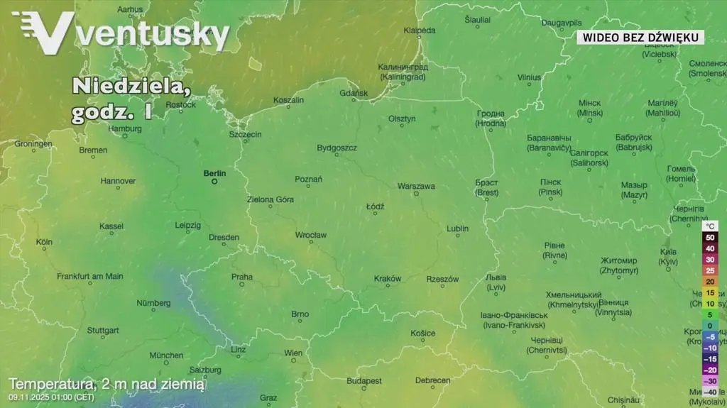 Klatka kluczowa-10657