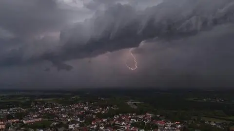 Nowogród