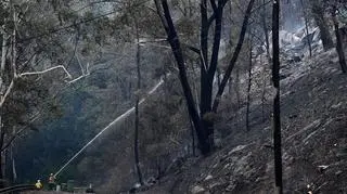 Miejscowość Koolewong w Australii po pożarze