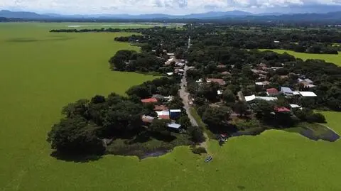 Sałata wodna opanowała zbiornik Cerron Grande w Salwadorze