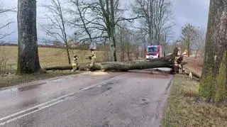 Interwencje związane z silny wiatrem w woj. warmińsko-mazurskim 