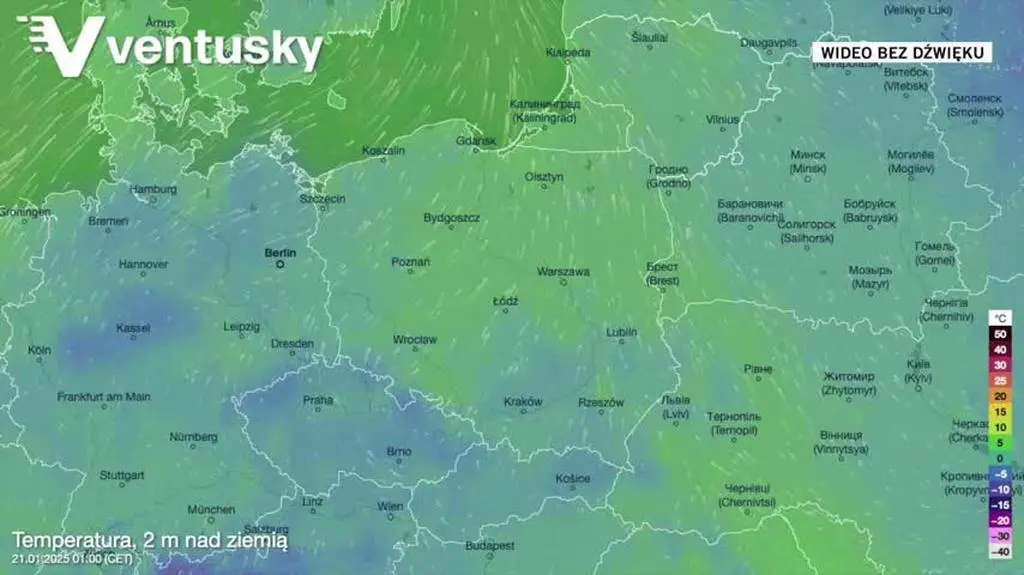 Prognozowana temperatura w najbliższych dniach
