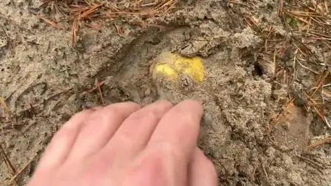 1114d60f-2123-4129-8c45-f8e590d2a2af (1)-0001