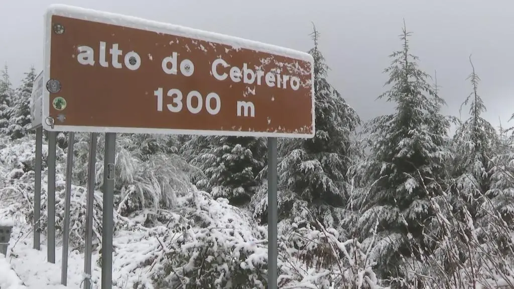 Klatka kluczowa-72464