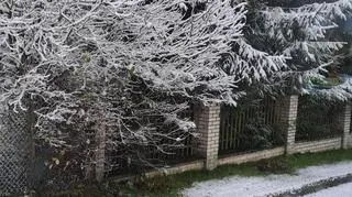 Pierwszy śnieg