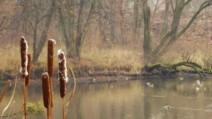 Pogoda na 5 dni. Jak długo utrzyma się wielkie ciepło