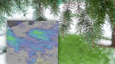 Pochmurno, deszcz i coraz cieplej. Sprawdź, czy to się zmieni przed Wigilią i świętami
