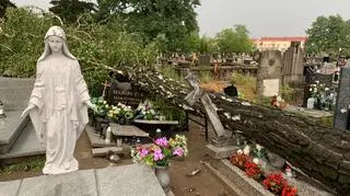 Zniszczone nagrobki w Wągrowcu