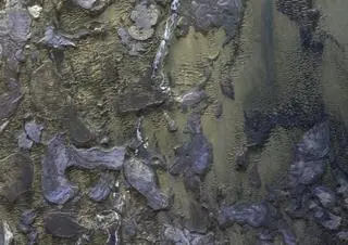 Część Valles Marineris na zdjęciu ExoMars Trace Gas Orbiter