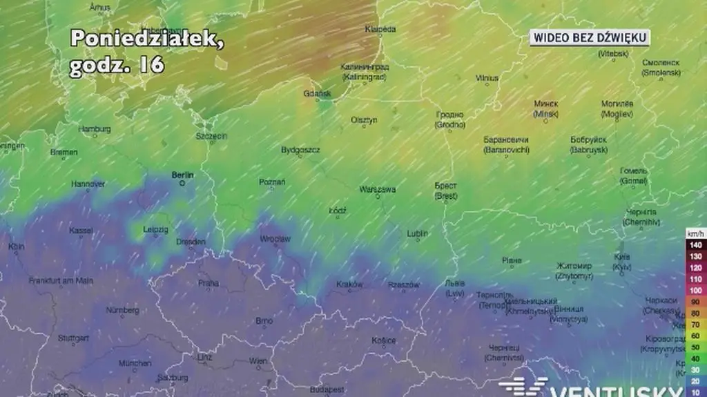 Prognozowane porywy wiatru w kolejnych dniach