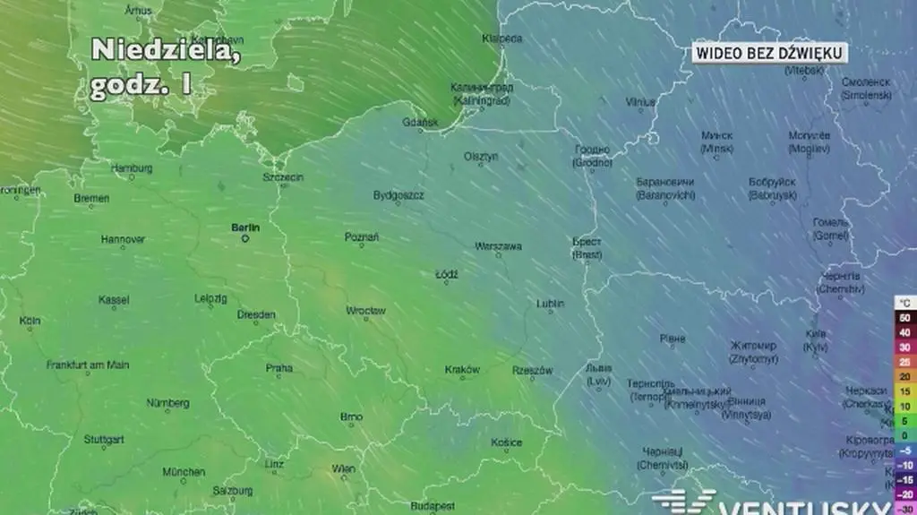 Prognozowana temperatura w najbliższych dniach (Ventusky