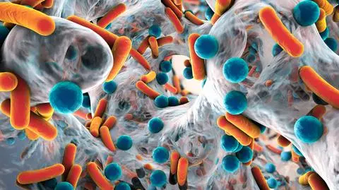Antybiotyk zmieniający kształt. "Może być kluczem do przetrwania naszego gatunku"
