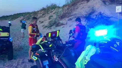 Łoś na plaży. Niektórzy podchodzili zbyt blisko, jedna osoba została ranna