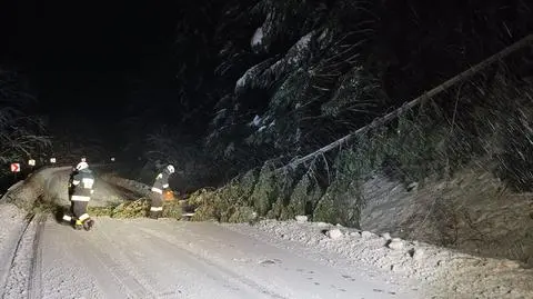 Powalone drzewo na drodze wojewódzkiej nr. 896 Czarna Górna - Lutowiska 