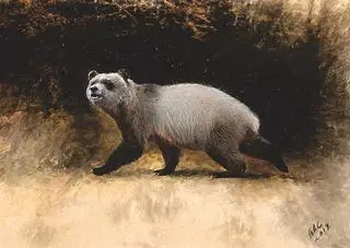 Prehistoryczna panda z Bułgarii