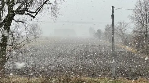 "Krótka zawierucha ze śniegiem". Zimowa aura odwiedziła Polskę
