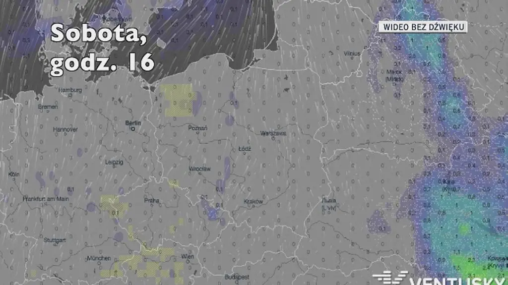 Prognozowane opady deszczu w kolejnych dniach (Ventusky
