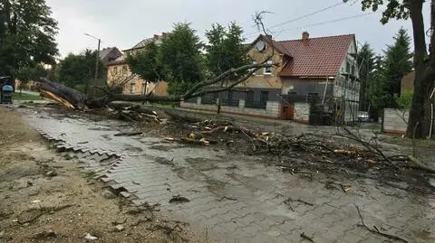 Powalone drzewa, zalane ulice. Kilkaset interwencji po burzach