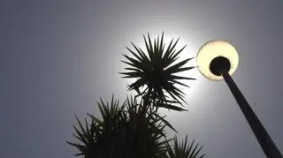 Na Sardynii temperatury zbliżają się do 50 stopni