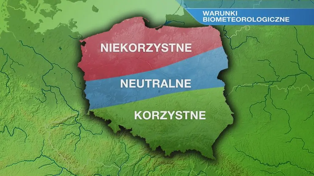 Klatka kluczowa-33407