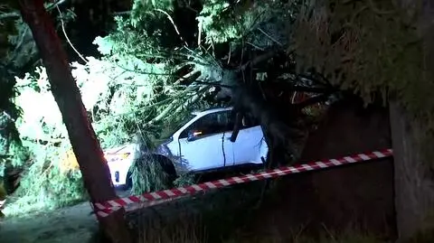 Drzewo spadlo na samochod
