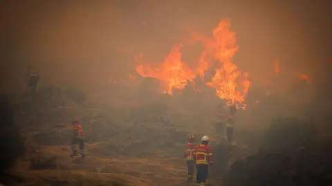 Strażacy walczą z pożarem lasu w pobliżu miejscowości Galegos da Serra w gminie Vila Real
