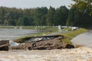 Powódź w Lewinie Brzeskim (19.09.2024)