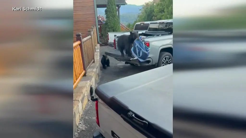 Wskoczyła do auta i ukradła lodówkę. Nagranie