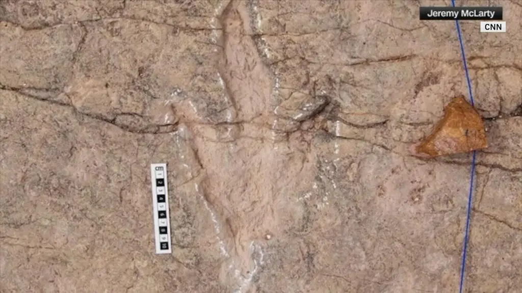 Klatka kluczowa-77622