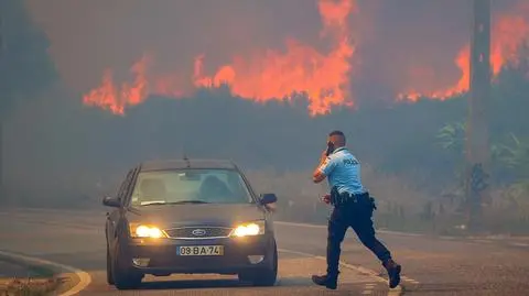 Wiatr dodał sił pożarowi nieopodal Lizbony. 14 osób rannych