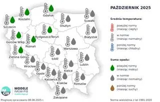 Prognoza średniej miesięcznej temperatury powietrza i miesięcznej sumy opadów atmosferycznych dla wybranych miast w Polsce