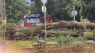 Skutki nawałnicy w Mielcu