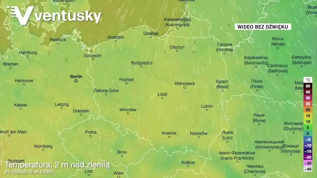 Prognozowana temperatura w kolejnych dniach