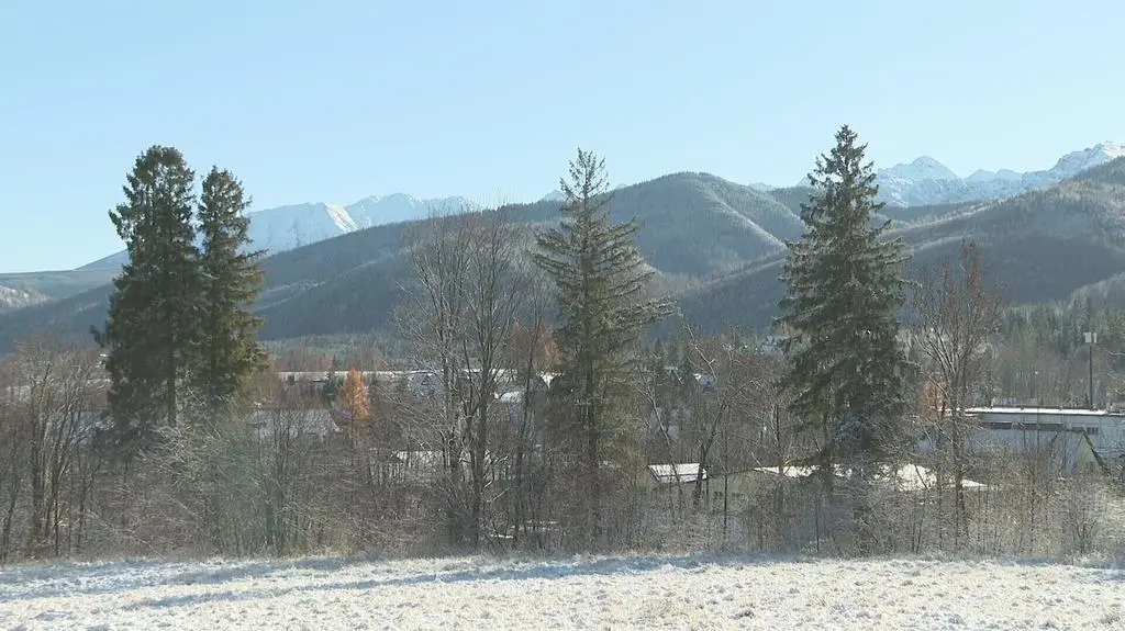 Klatka kluczowa-32452