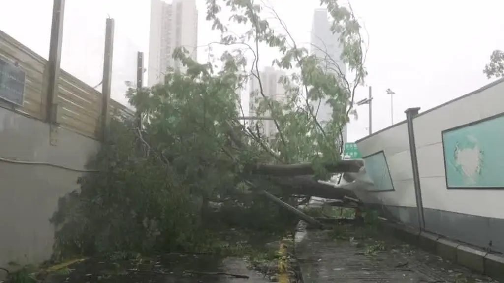 Skutki supertajfunu Ragasa w Shenzen