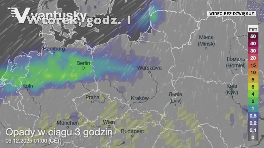 Klatka kluczowa-83290