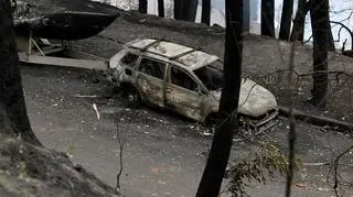 Miejscowość Koolewong w Australii po pożarze