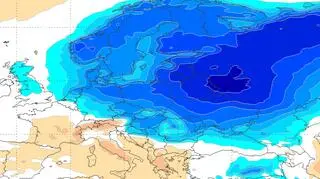 Idą "noce na trzy psy". Polska może być jak rosyjska Arktyka