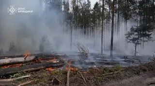 Smog snuje się na Kijowem. Przez pożar w okolicy Czarnobyla