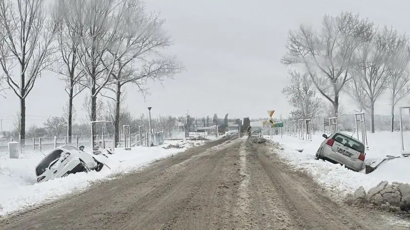 Kolejny atak zimy. Samochody w rowie i powalone drzewa
