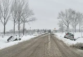 Kolejny atak zimy. Samochody w rowach i powalone drzewa