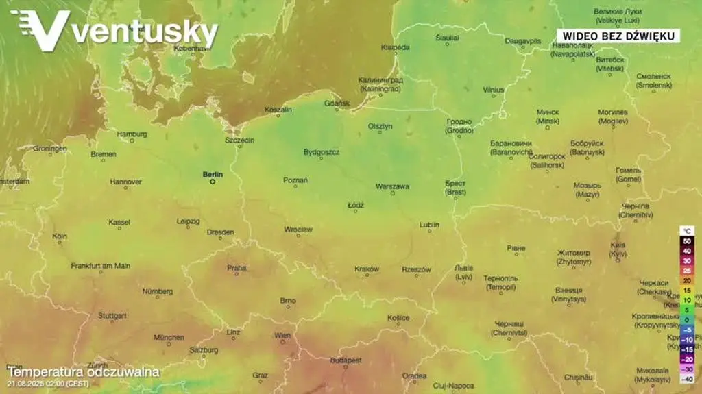 Prognozowane temperatury powietrza w kolejnych dniach 