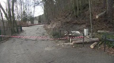 Wiatr powalił drzewa. Gdańskie zoo otwarte po przymusowej przerwie
