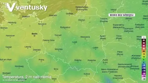 Prognozowana temperatura w kolejnych dniach