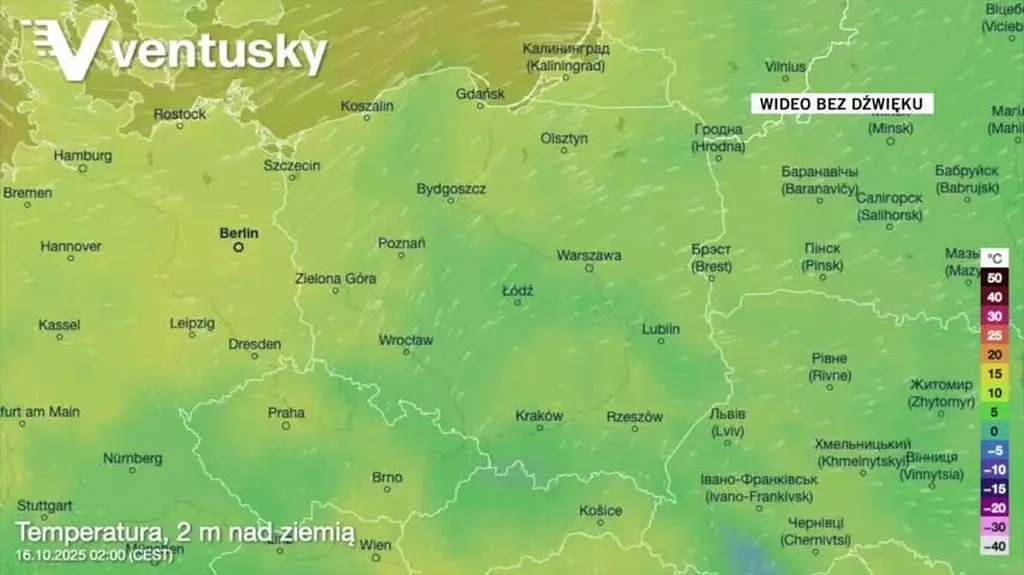 Prognozowana temperatura w kolejnych dniach