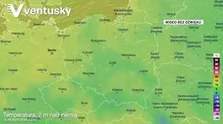 Prognozowana temperatura w kolejnych dniach