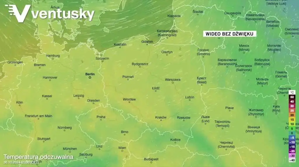 Prognozowana temperatura w kolejnych dniach 