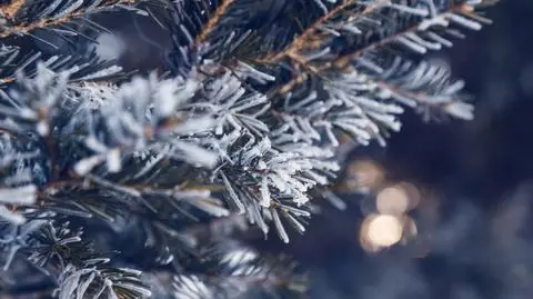 Mroźna noc 