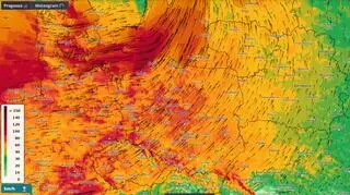 Prognozowana prędkość wiatru w poniedziałek (21.02)